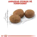 Royal Canin Regular Sterilised 37 kattefoder