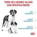 Royal Canin Giant Starter Mother & Babydog - Økonomipakke: 2 x 15 kg