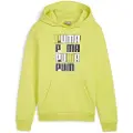 Puma Ess+ Logo Lab Hættetrøje