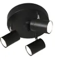 By Rydens - Correct spotlight 3 - Sort - Spotlights - - Homeroom