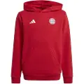 Adidas Fc Bayern Munich 24/25 Junior Hættetrøje