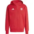 Adidas Fc Bayern Munich 24/25 Anthem Hættetrøje