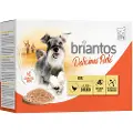 Briantos Økonomipakke: 48 x 100 g Briantos Delicious Paté - Kylling