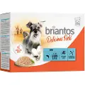 Briantos Økonomipakke: 48 x 100 g Briantos Delicious Paté - Laks
