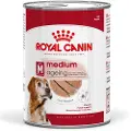 Royal Canin Medium Ageing Mousse - Sparpaket: 24 x 410 g