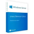 Microsoft Windows Server User/Device CAL 2022 - 1 User CAL