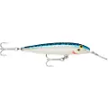 Rapala Countdown Magnum Sinking Minnow 24g 110 Mm