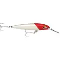 Rapala Countdown Magnum Sinking Minnow 24g 110 Mm