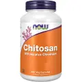 Now Chitosan, 500 mg plus Chrom - 240 vegetabilske kapsler