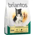 Briantos Senior med fjerkræ & ris - Økonomipakke: 4 x 1 kg