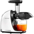 Amzchef 1501 150w Saftpresser
