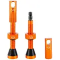 Peatys Peaty´s Tubeless Ventiler