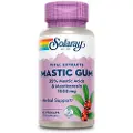 Solaray Mastic Gum 500mg Kapsler 45 Enheder