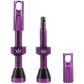 Chris King Peaty´s Tubeless Ventiler
