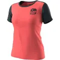 Dynafit Transalper Light T-shirt Med Korte ærmer