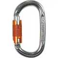 Climbing Technology Pillar Wg Karabinhage