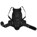 Alpinestars Bionic Rygbeskytter