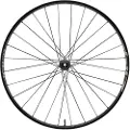 Zipp 101 Xplr Cl Disc Carbon Tubeless Grus Baghjul