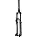 Cane Creek Helm Mark Ii Coil Mtb-forgaffel