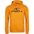 O'Neill N2750005 N2750005 Hættetrøje