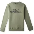 O'Neill N4750003 N4750003 Sweatshirt