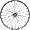 Spinergy Gx Max 27.5´´ Cl Disc Tubeless Grus Baghjul