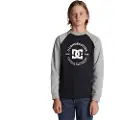 Dc-shoes Strpltrglncwb Sweatshirt