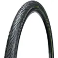 Chaoyang Kestrel 60 Tpi 29´´ X 2.00 Stiv Urbandæk