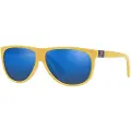 Ralph Lauren Ph4174-596155 Solbriller