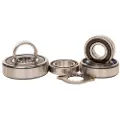 Hotrods Arctic Cat Dvx 400 04-08/kawas Kfx 03-06/suz Ltz 03-13 Styrelagerkit
