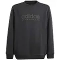 Adidas All Szn Graphic Sweatshirt
