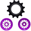 Leonardi Racing Superior Sram Eagle Skifterulle