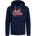 Jack & Jones 12254870 Zuri Hættetrøje