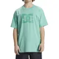 Dc-shoes Dcstar Pigment T-shirt Med Korte ærmer