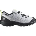 Salomon Xa Pro V8 Cswp Vandresko