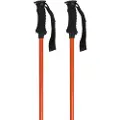 Salewa Puez Aluminum Spadserestokke