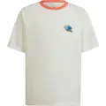 Adidas Originals Graphic Print T-shirt Med Korte ærmer