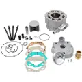 Italkit Ck12749gr1 Cylinder-og Krumtapakselsæt