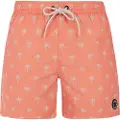 Protest Alvis Badeshorts