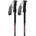 Gabel Escape Carbon Tour Lite Ai Spadserestokke