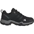 Adidas Terrex Ax2r Vandresko