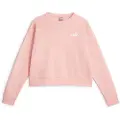 Puma Ess+ Relaxed Small L Sweatshirt