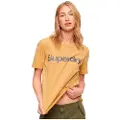 Superdry Metallic Core Logo T-shirt Med Korte ærmer