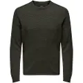 Only & Sons Karlson Reg 12 Trøje