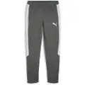 Puma Evostripe Dk Sportsbukser