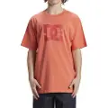 Dc-shoes Dcstar Pigment T-shirt Med Korte ærmer