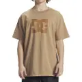 Dc-shoes Dcstar Pigment T-shirt Med Korte ærmer