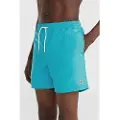 O'Neill Vert 16´´ Badeshorts