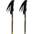 Asolo Glacier Spadserestokke