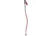 Swix World Cup Pro Dh Carbon Spadserestokke